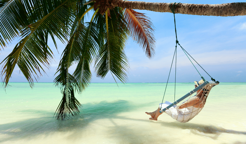 Image result for Tropical Vacation