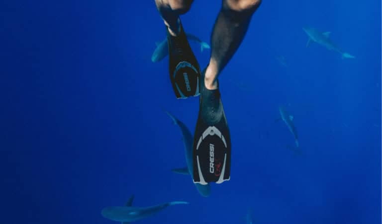 Top Swim Fins