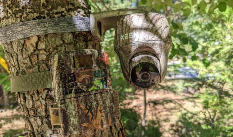 Top Trail Cameras