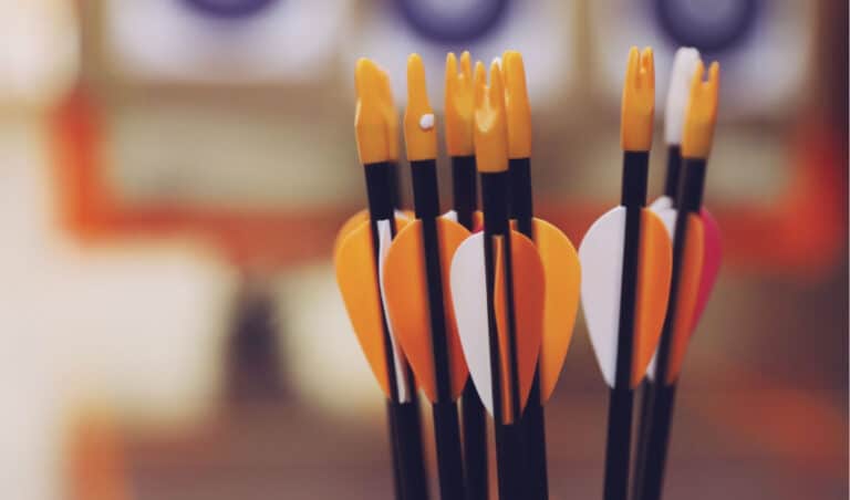 Top Arrows for Deer Hunting