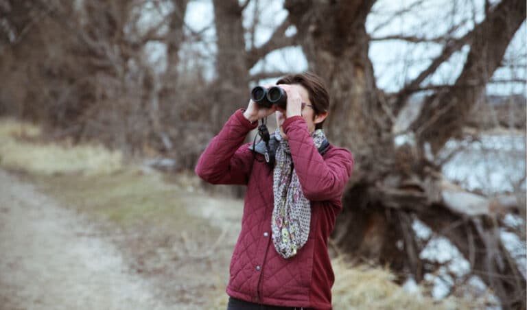 Top Binoculars for Bird Watching