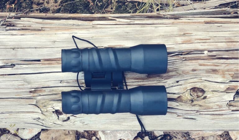Top Binoculars for Hunting