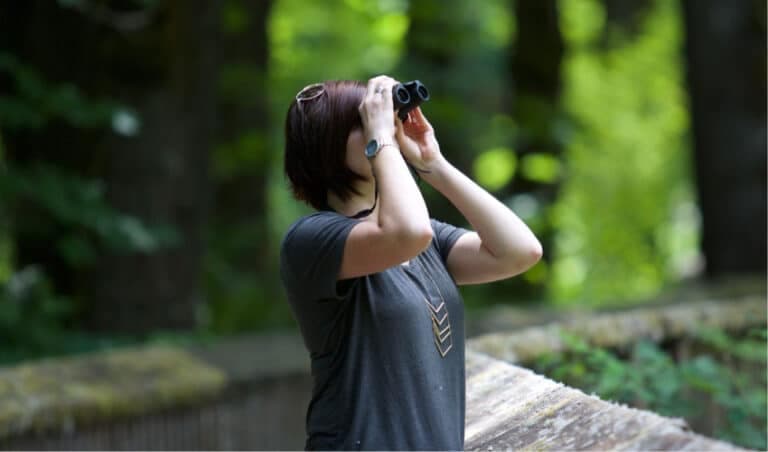 Top Compact Binoculars