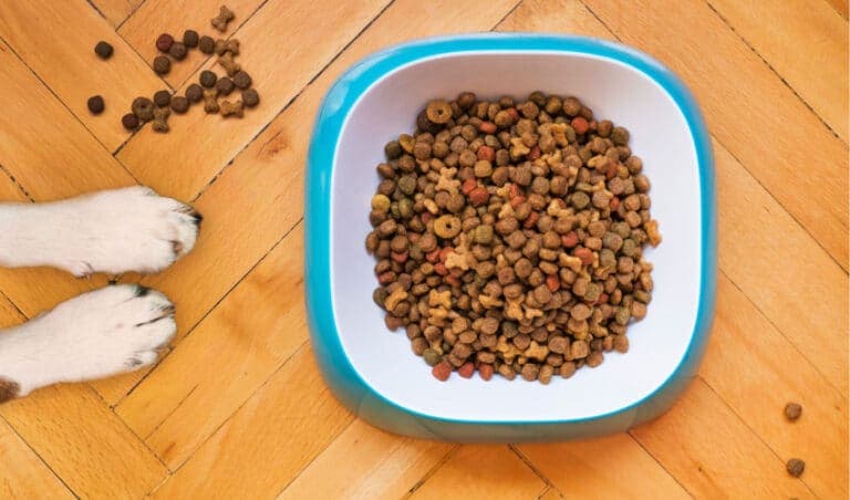 Top Dog Food Brands for Large Dogs