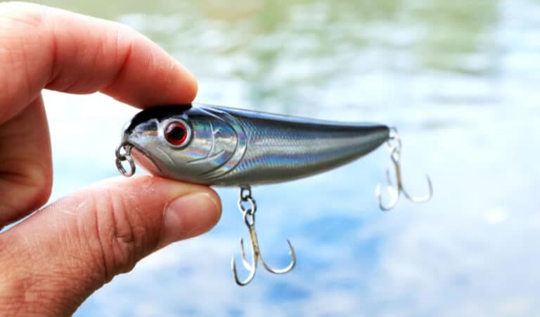 Top Fishing Lures