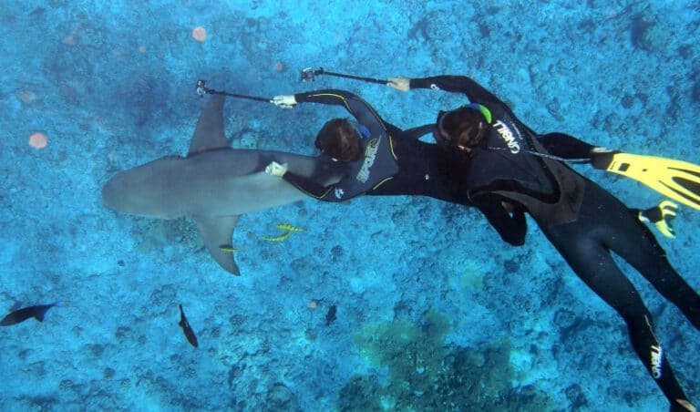 Top Underwater Cameras