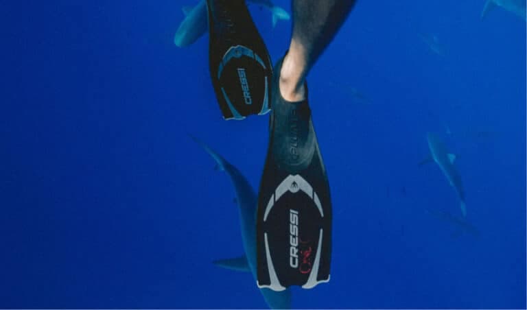 Top Diving Fins
