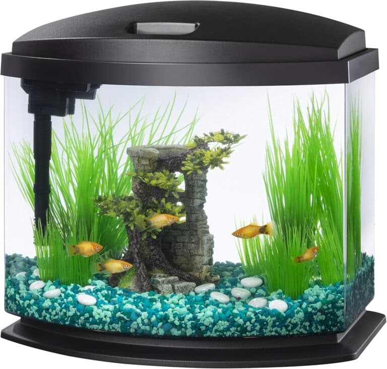 Aqueon LED MiniBow Aquarium Starter Kit – 5 Gallon