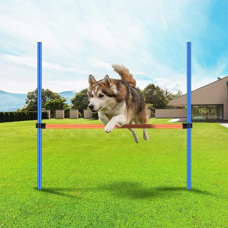 Pawise Dog Agility Training Set