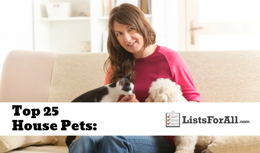 List of the Best House Pets