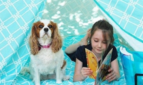 Summer Reading Tent