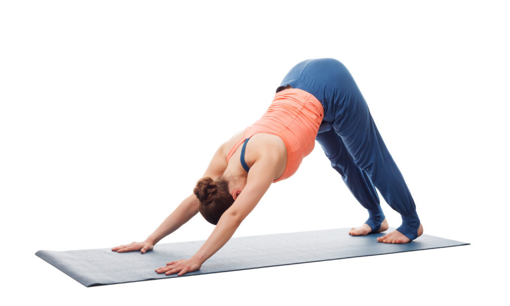 Downward Facing Dog Yoga Pose