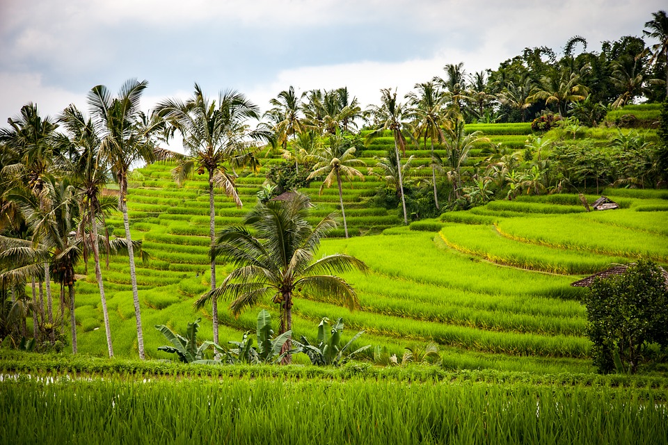 BALI, INDONESIA 1