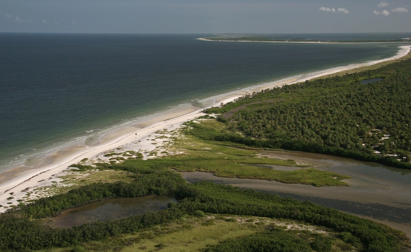 Caladesi Beach 3