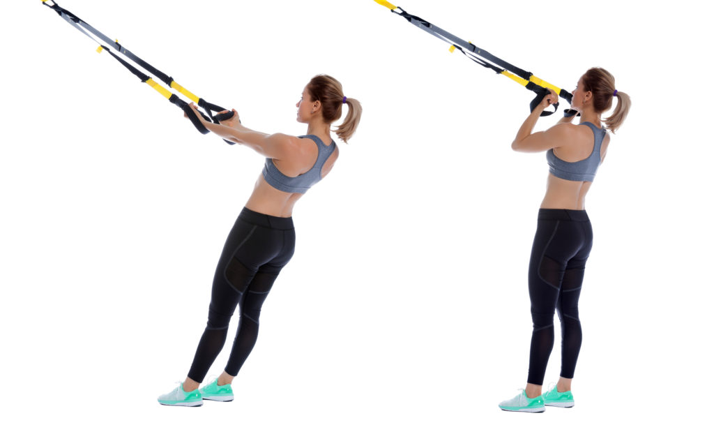 Bicep Curl TRX Exercise