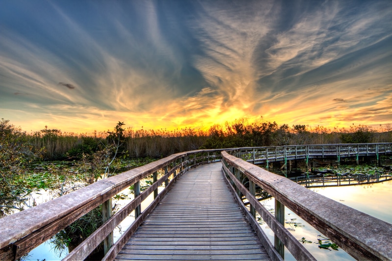 Everglades National Park 1