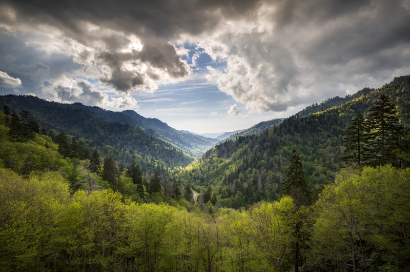 GREAT SMOKY MOUNTAINS NATIONAL PARK 4