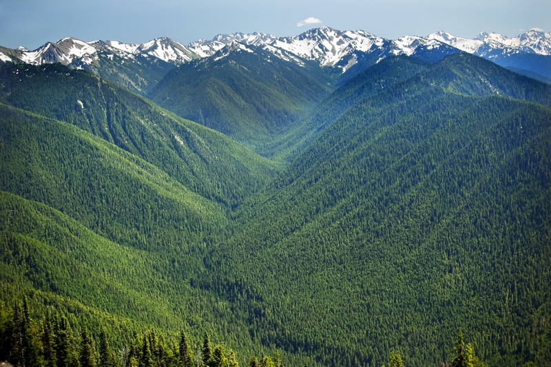 OLYMPIC NATIONAL PARK 4