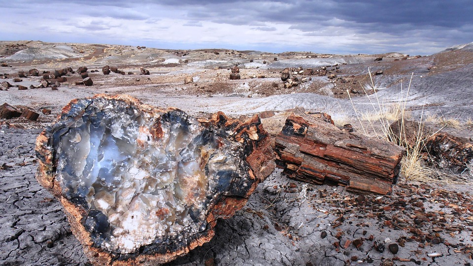 Petrified Forest National Forest 2