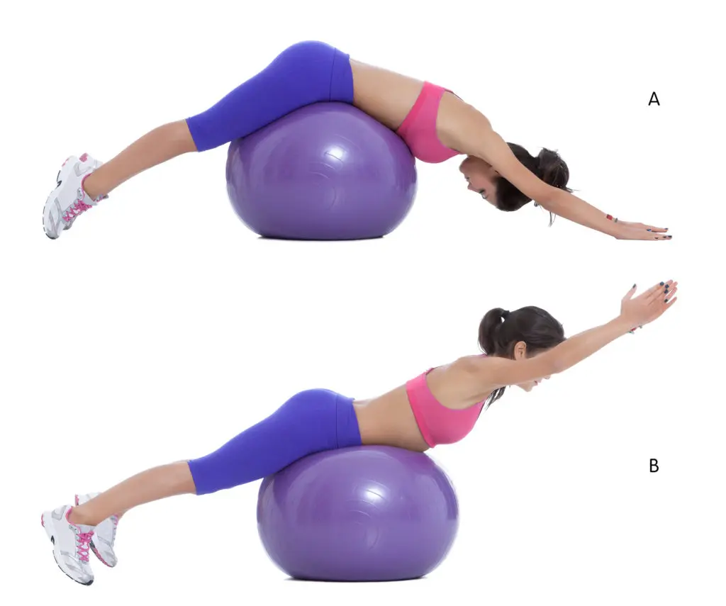 Lower Back Raises Swiss Ball Exercise