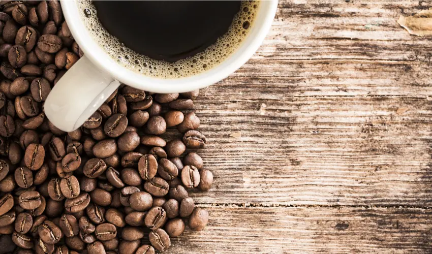 Best Coffee Brands