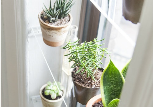 Floating Window Shelving Idea