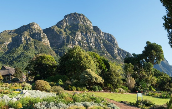 Kirstenbosch National Botanical Garden