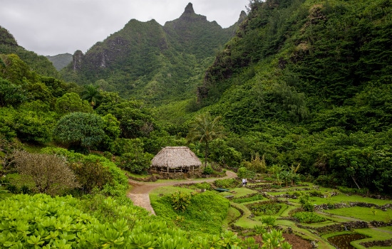 Limahuli Garden and Preserve