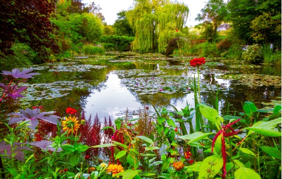 Monet’s Gardens