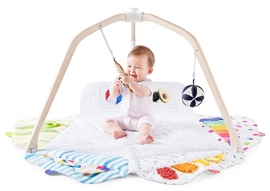 Baby Play Gym