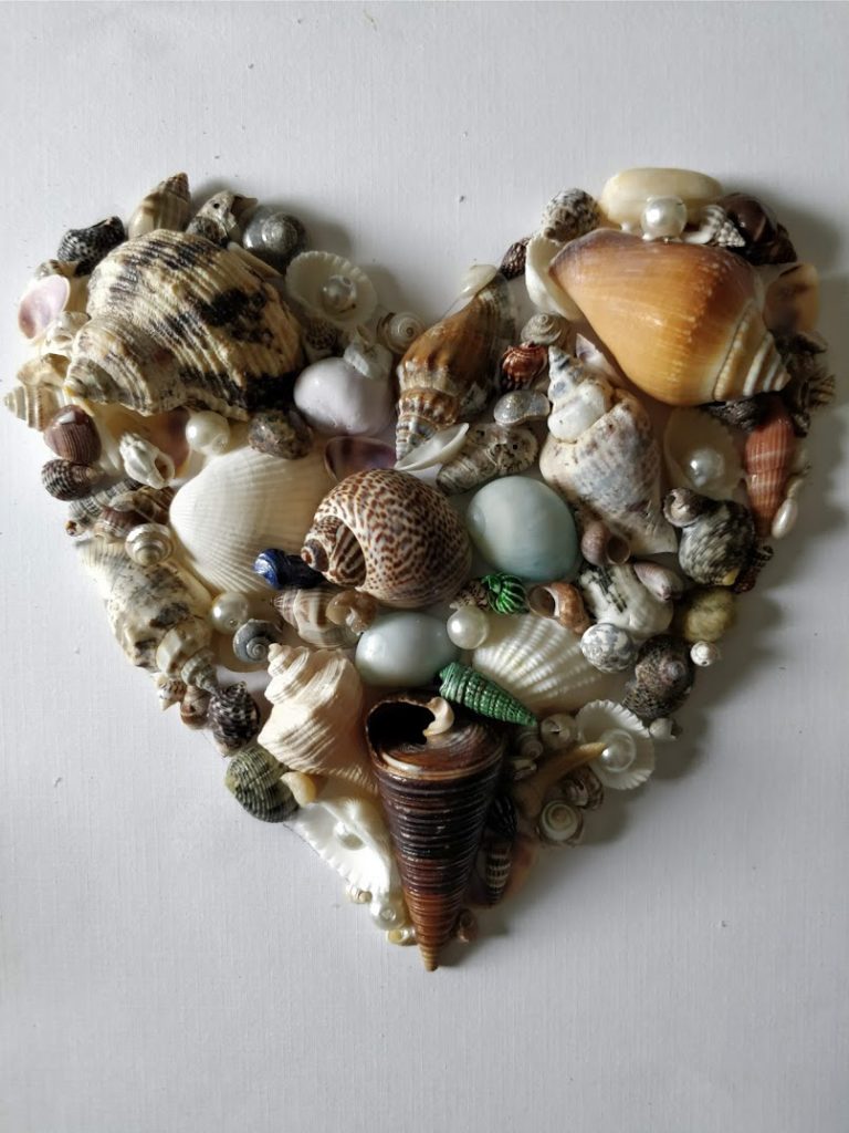 Seashell Art