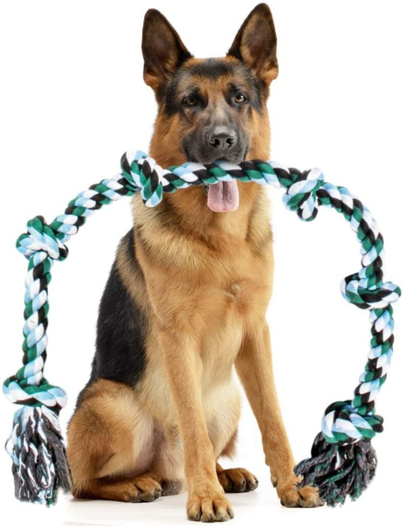 Giant Dog Rope