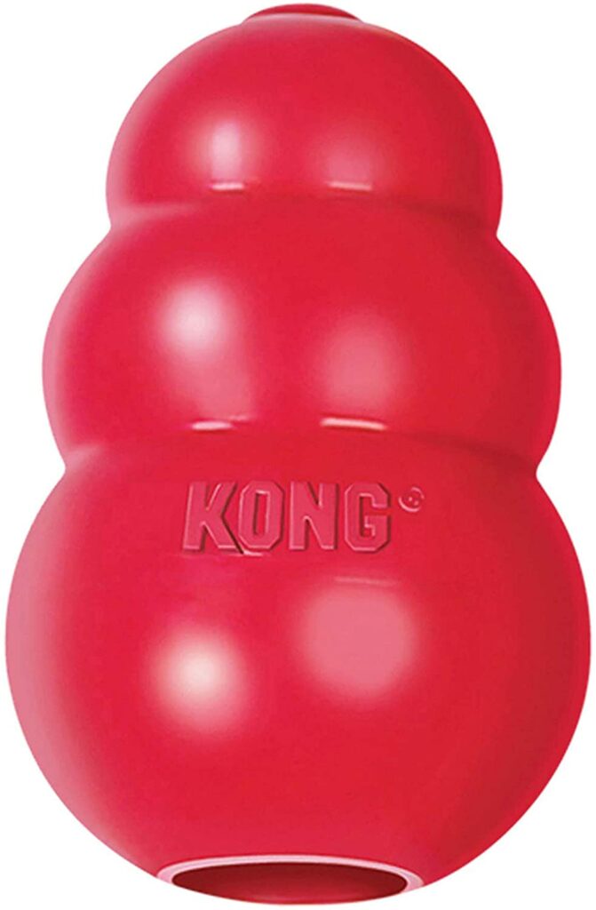 Kong Chew Toy