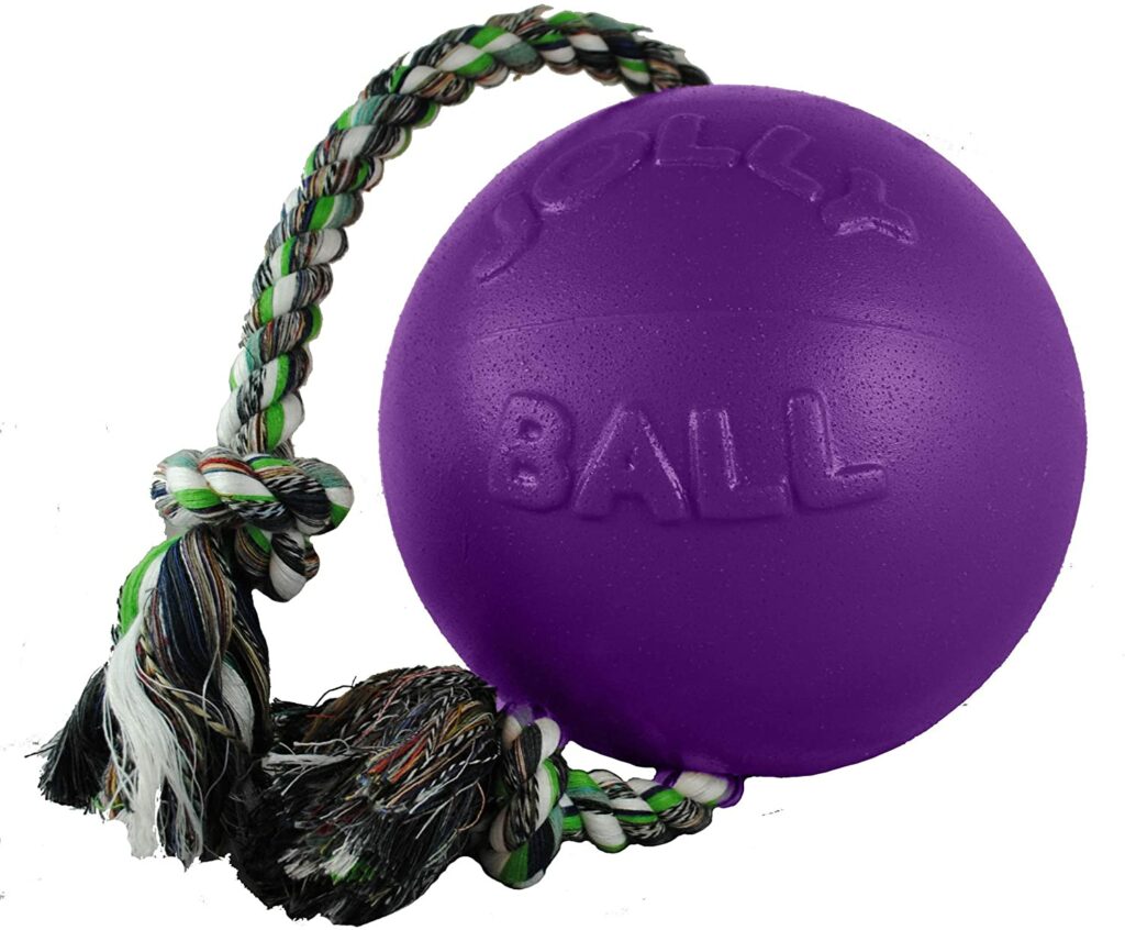 Rope and Ball Dog Toy