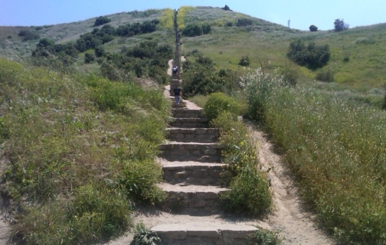 Kenneth Hahn State Recreation Area