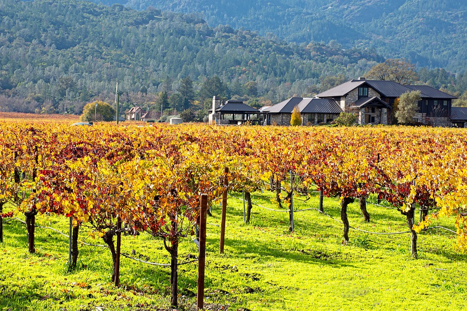 Napa Valley, California