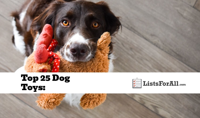 Best Dog Toys