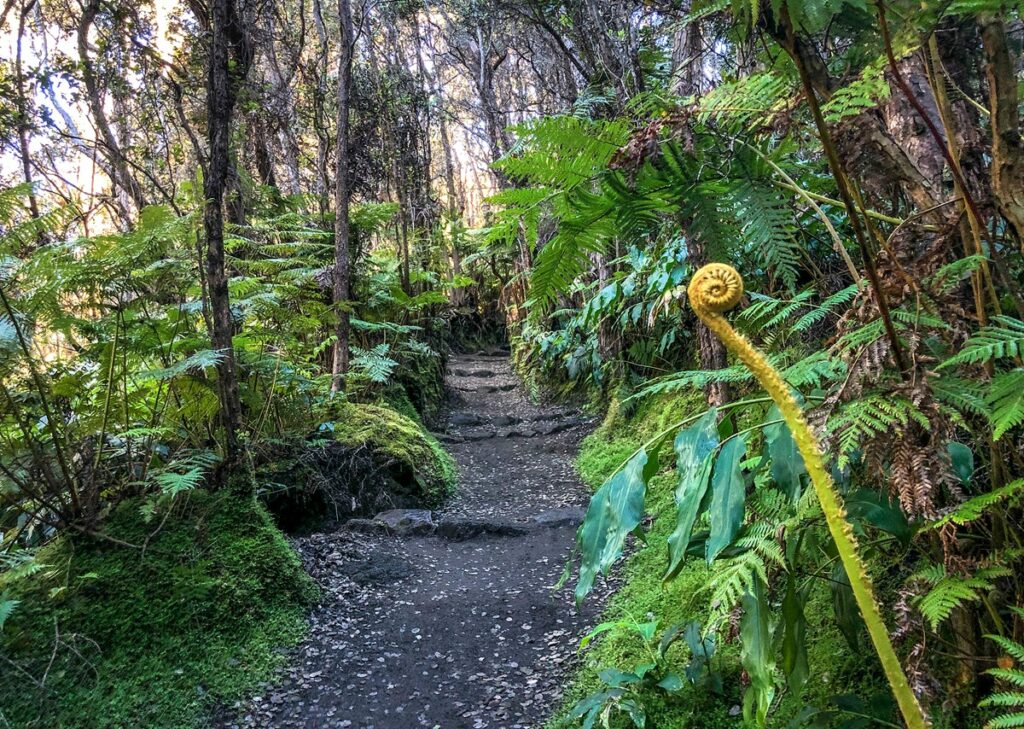 Halema'uma'u Trail