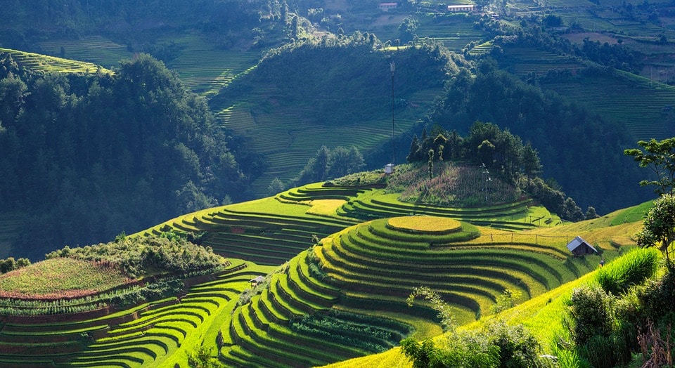 Mù Cang Chải, Vietnam