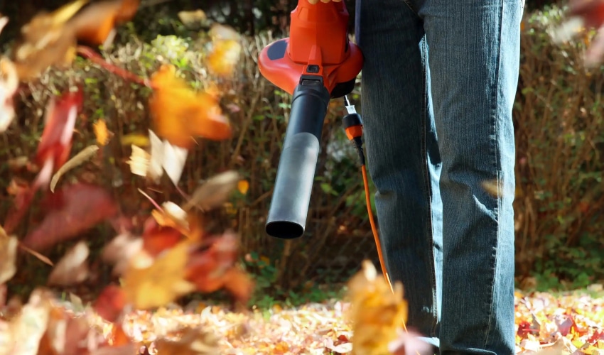 Top Leaf Blowers