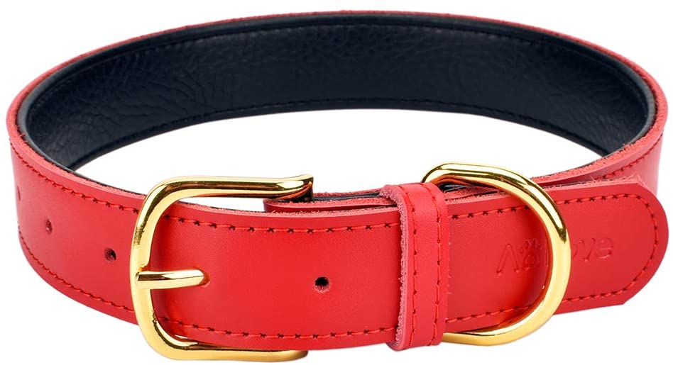 Aolove Dog Collar