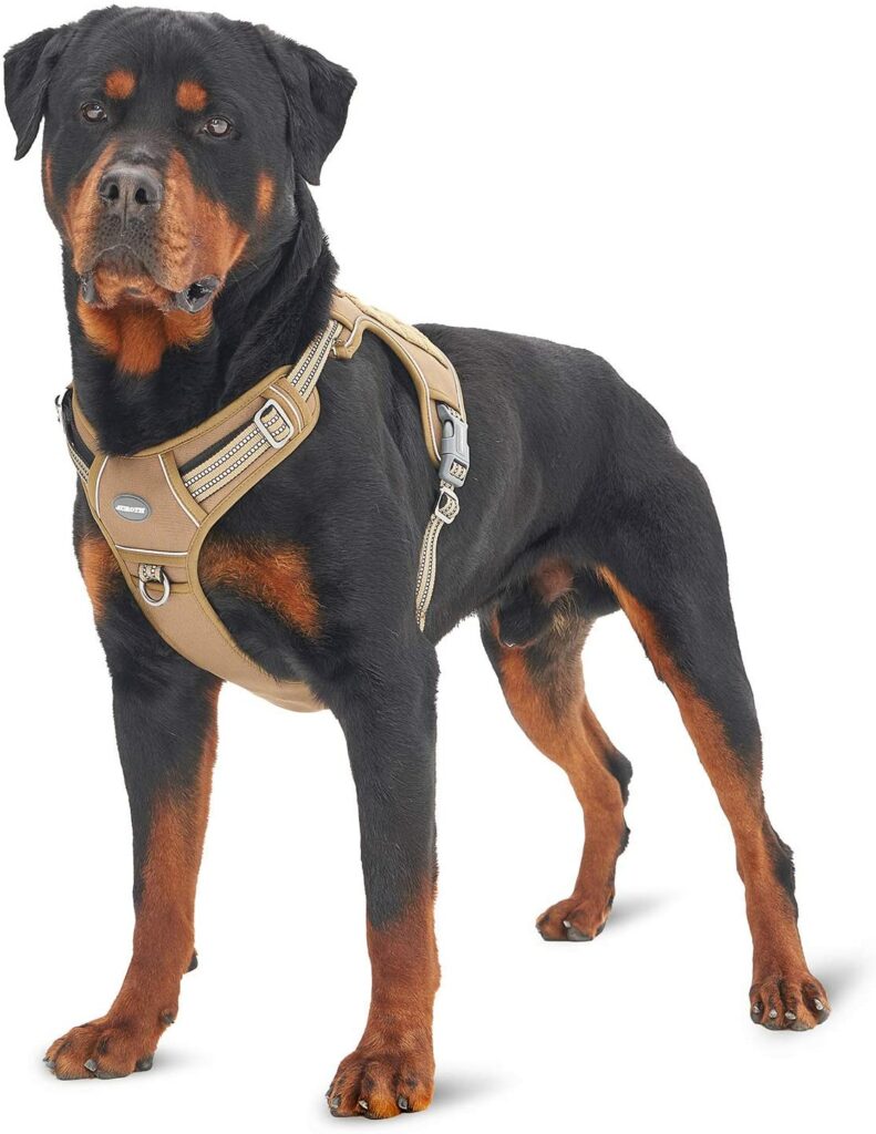 Auroth Tactical Dog Harness