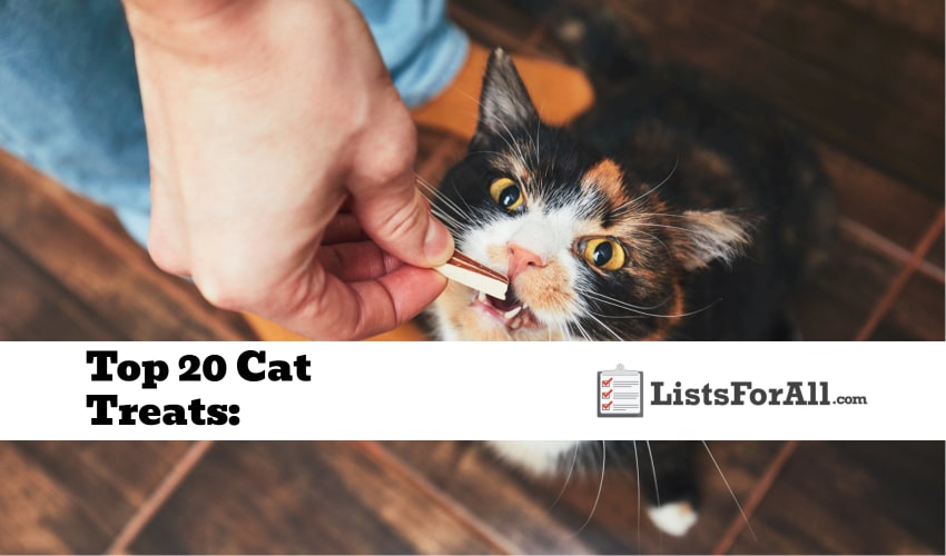 Best Cat Treats