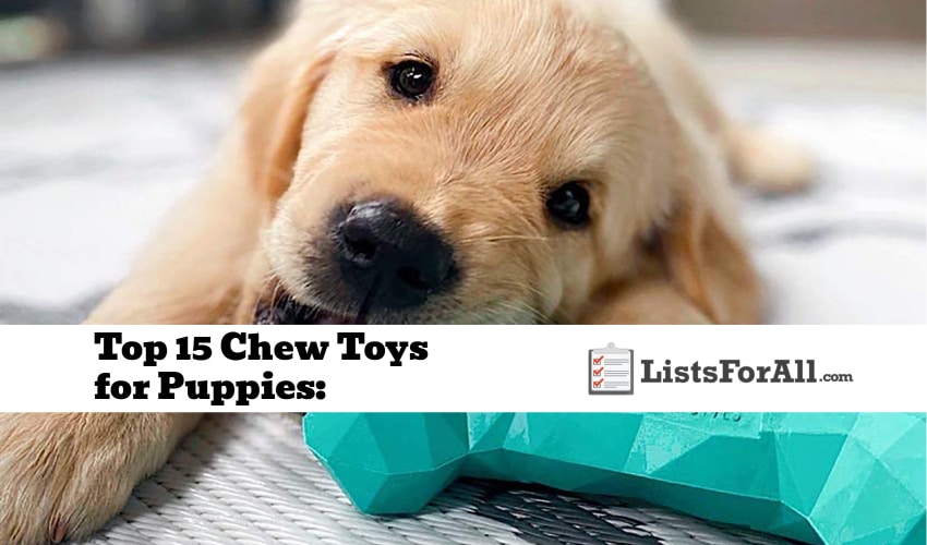 Best Chew Toys for Puppies