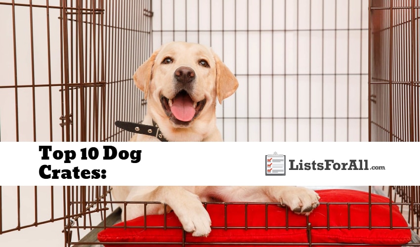 Goplus metal online wire dog crate