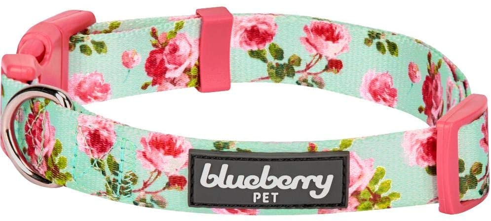 Blueberry Dog Collars