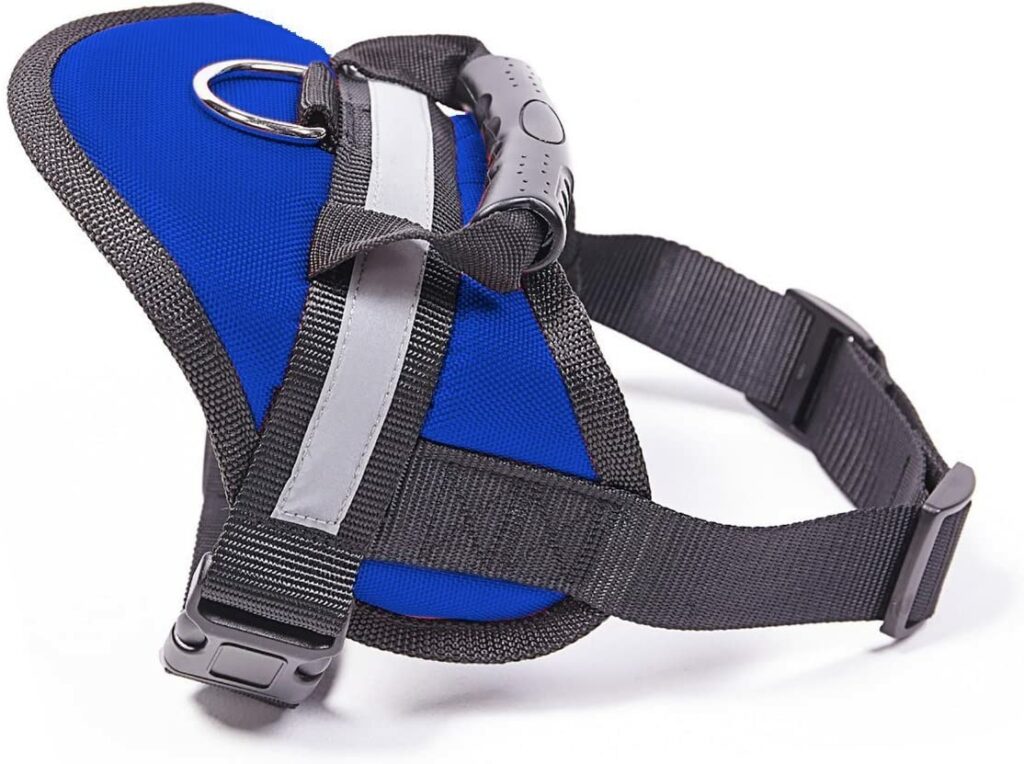 EXPAWLORER Dog Harness