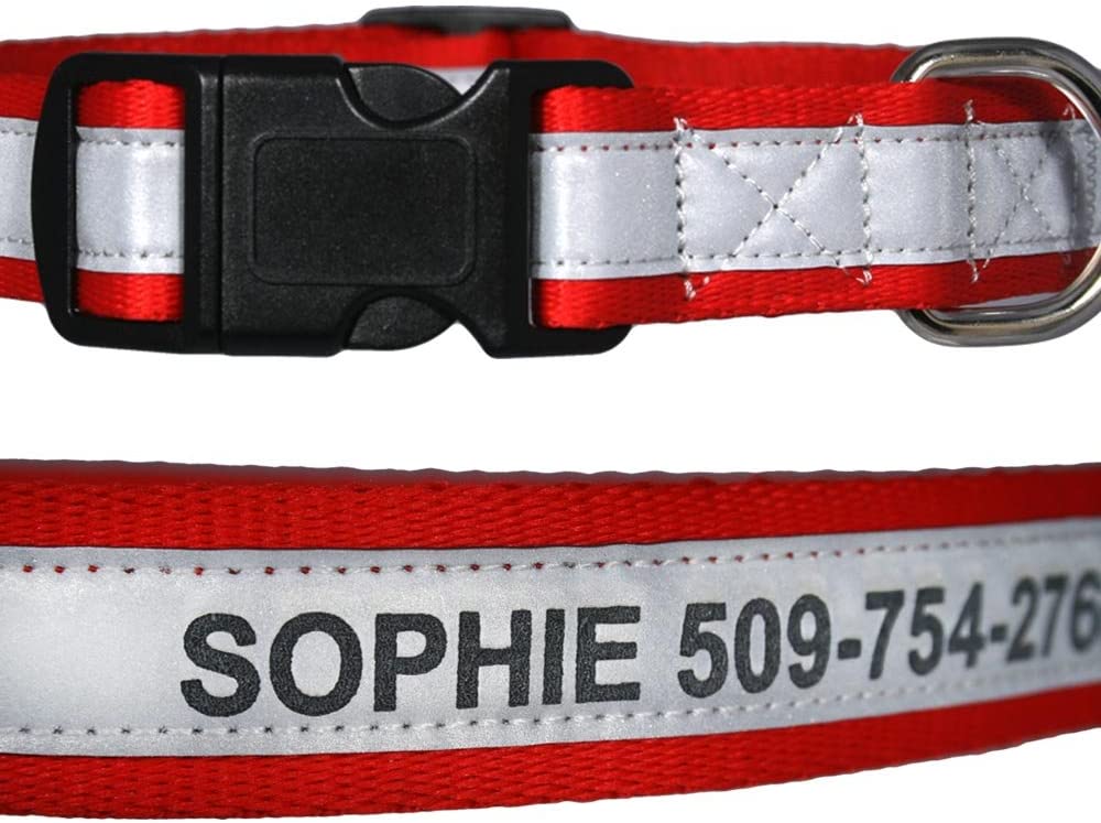 GoTags Dog Collar