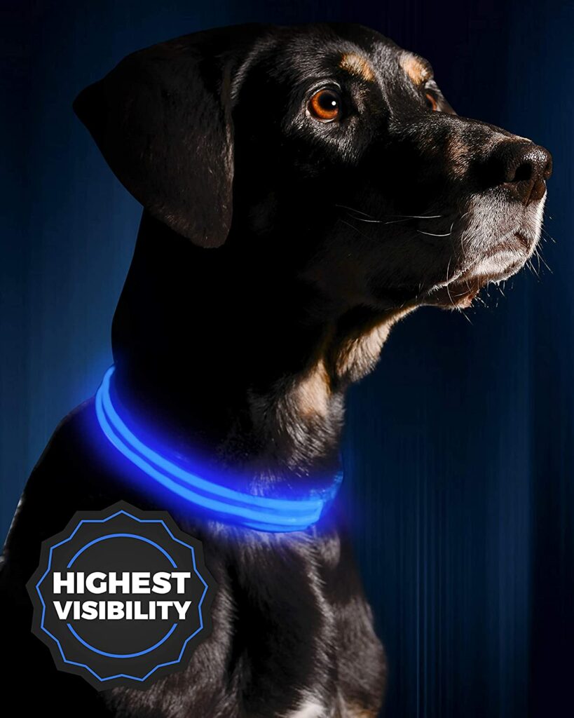 ILLUMISEEN LED Dog Collar