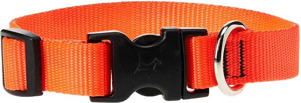 LupinePet Dog Collar